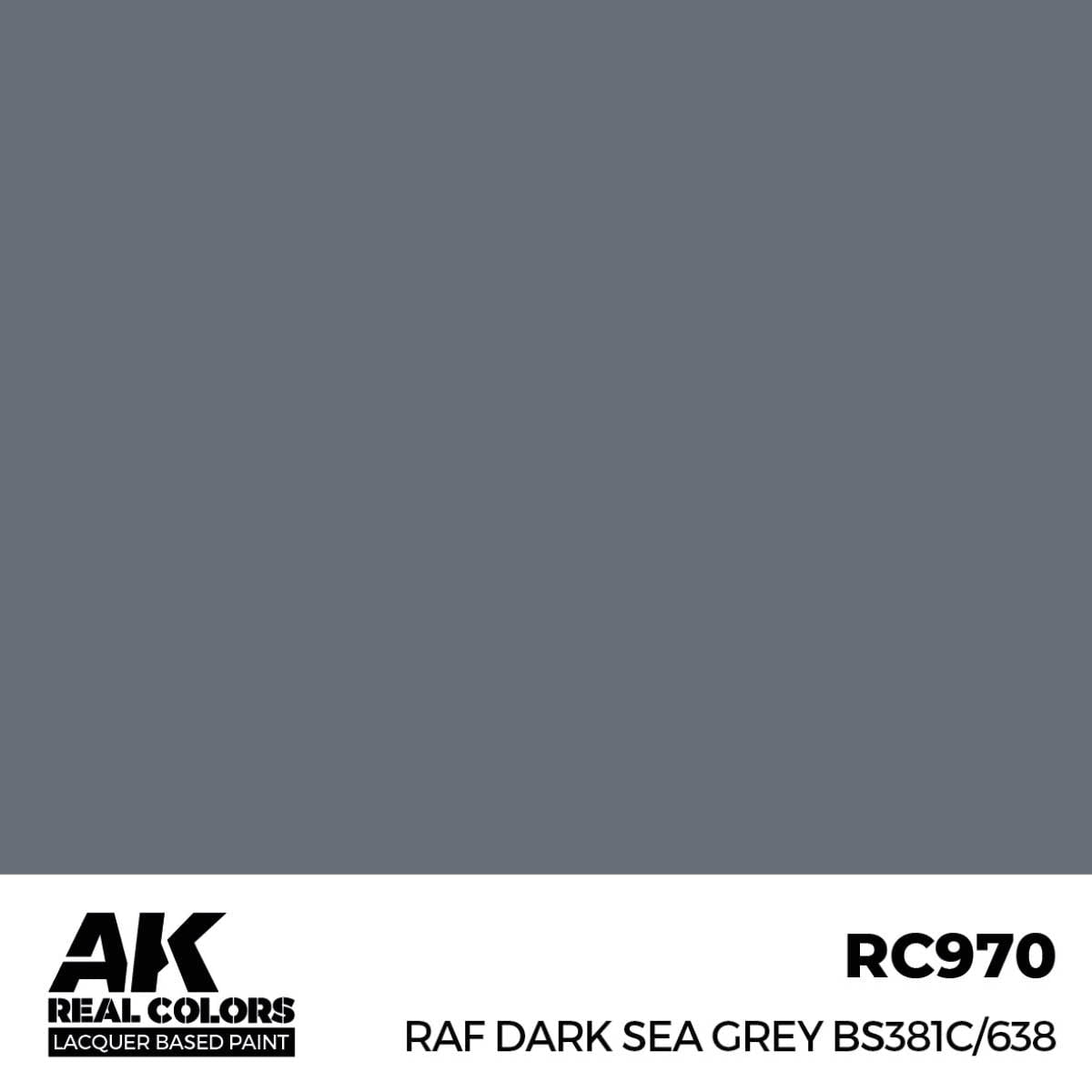 AK Interactive Paint AK Interactive RC970 Real Colors RAF Dark Sea Grey BS381C/638 Paint 17ml