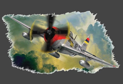 Hobby Boss MODEL AIRPLANES Hobby Boss 1/72 P-47D Thunderbolt Kit