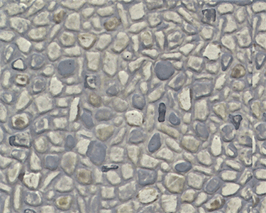 Plastruct Supplies Plastruct HO 91580 PS-72 Field Stone Patterned Sheet (2)