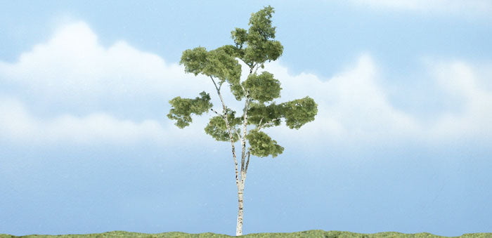 Woodland Scenics Woodland Scenics 1616 4" Premium Paper Birch 1/pk