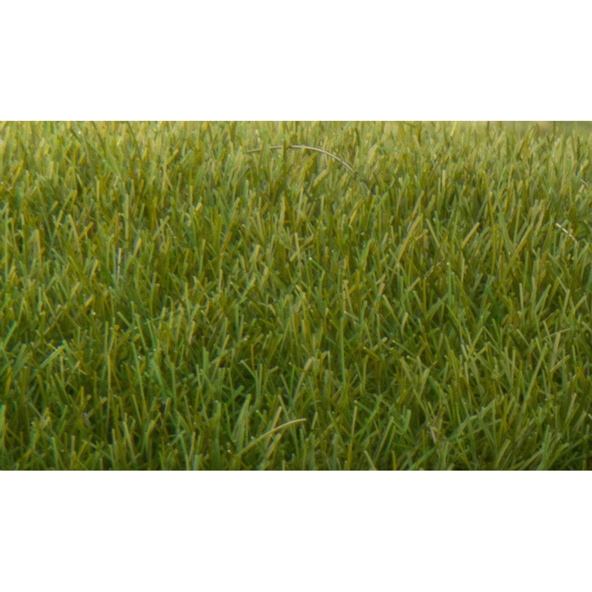 Woodland Scenics Woodland Scenics 621 Static Grass Dark Green 7mm