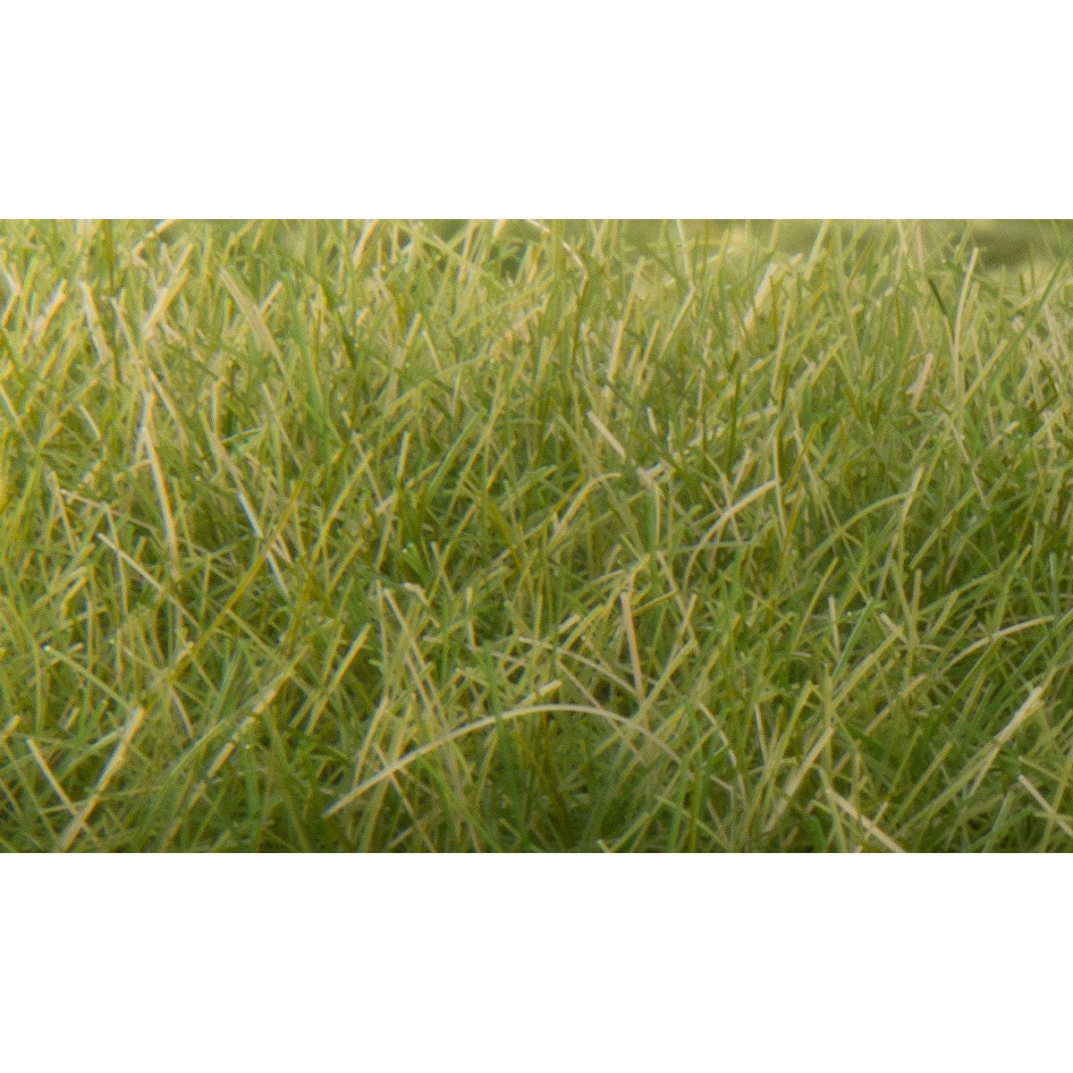 Woodland Scenics Woodland Scenics Static Grass Medium Green 12mm