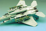 Academy MODEL AIRPLANES Academy 1/72 F15E Strike Eagle USAF Fighter Kit