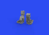 Eduard EDU648775 - Eduard 1/48 F/A-18F ejection seats