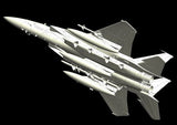 Great Wall Hobby MODEL AIRPLANES Great Wall Hobby 1/48 F15B/D USAF & Israeli Tactical Fighter (2 in 1) Kit