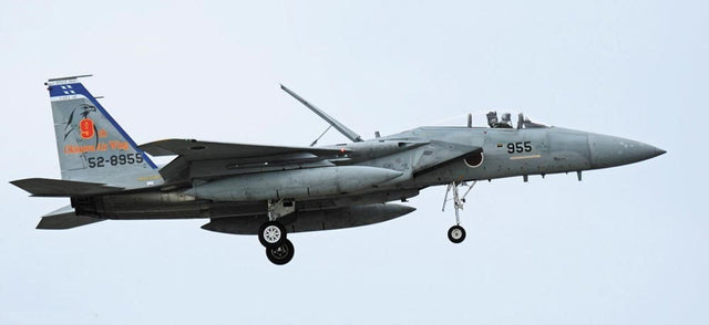 Hasegawa MODEL AIRCRAFT Hasegawa 1/48 F-15J Eagle 204SQ Super Detail Ltd. Edition Kit