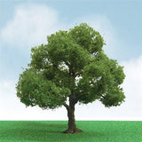 JTT Scenery Products Scenery JTT Scenery Products 92304 Pro-Elite Series Elder Trees, 3" to 3.5" (2)