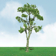 JTT Scenery Products Scenery JTT Scenery Products 92311 Pro-Elite SeriesGum Tree - 3-1/2 to 4" (2)