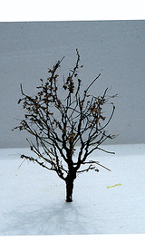 JTT Scenery Products Scenery JTT Scenery Products 92322 Tree with Dry Foliage Late Fall (2)