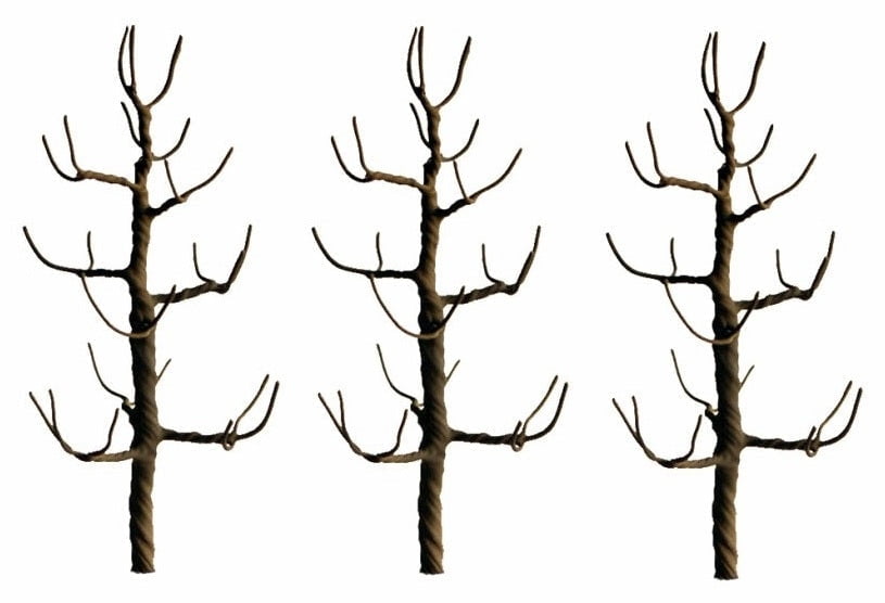 JTT Scenery Products Scenery JTT Scenery Products HO 94124 Premium Sycamore Tree Armatures 4" (3)