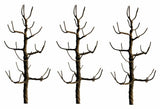 JTT Scenery Products Scenery JTT Scenery Products HO 94124 Premium Sycamore Tree Armatures 4" (3)
