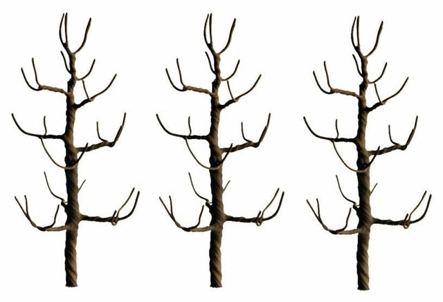 JTT Scenery Products Scenery JTT Scenery Products HO 94124 Premium Sycamore Tree Armatures 4" (3)