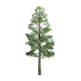 JTT Scenery Products Scenery JTT Scenery Products HO 94293 (TR-1093) Professional Series Pine Trees 3" (3)