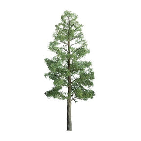 JTT Scenery Products Scenery JTT Scenery Products HO 94293 (TR-1093) Professional Series Pine Trees 3" (3)