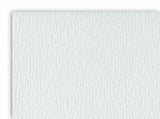 JTT Scenery Products Supplies JTT Scenery Products O PS-1042 Patterned Plastic Sheet 2-Pack, Field Stone 7-1/2 x 12" 19.1 x 30.5cm