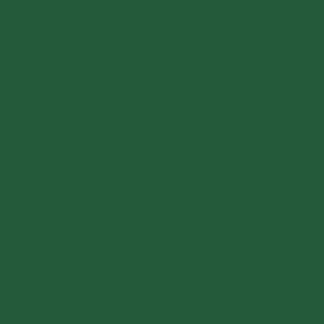 Mission Models Paint Mission Models - MMP-004 Green