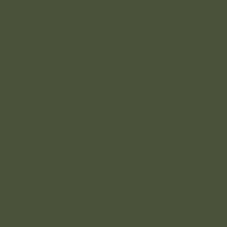 Mission Models Paint Mission Models - MMP-028 Russian Dark Olive FS 34102