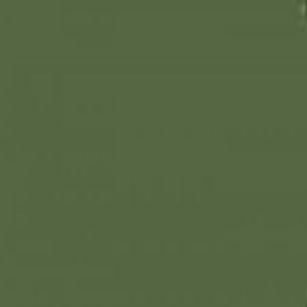 Mission Models Paint Mission Models - MMP-029 Russian Dark Olive 2 FS 34096