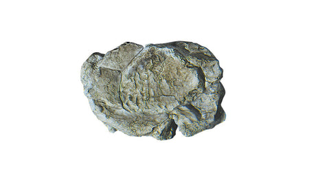 Woodland Scenics Woodland Scenics 1237 Wind Rock Rock Mold 5x7