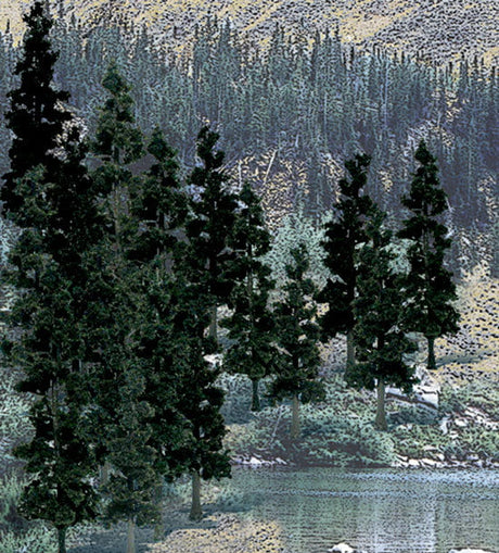 Woodland Scenics Woodland Scenics 1581 Bulk Trees 4''-6'' Conifers 24/pk