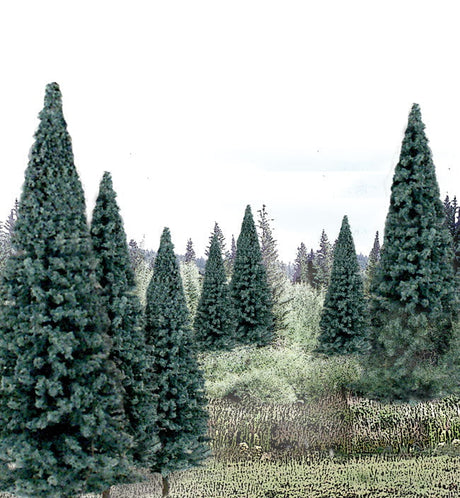 Woodland Scenics Woodland Scenics 1588 Bulk Trees 4''-6'' Spruce 13/pk