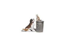 Woodland Scenics Woodland Scenics 2524 G Rover & Felix Dog w/Cat on Trashcan