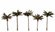 Woodland Scenics Woodland Scenics 3598 4 .75''-5 .25'' Large Palm Trees 5/pkg