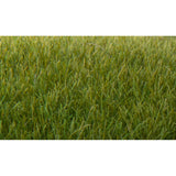 Woodland Scenics Woodland Scenics 621 Static Grass Dark Green 7mm