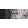Woodland Scenics Woodland Scenics Black/4oz