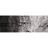 Woodland Scenics Woodland Scenics Black/4oz
