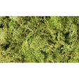 Woodland Scenics Woodland Scenics Lichen/Light Green