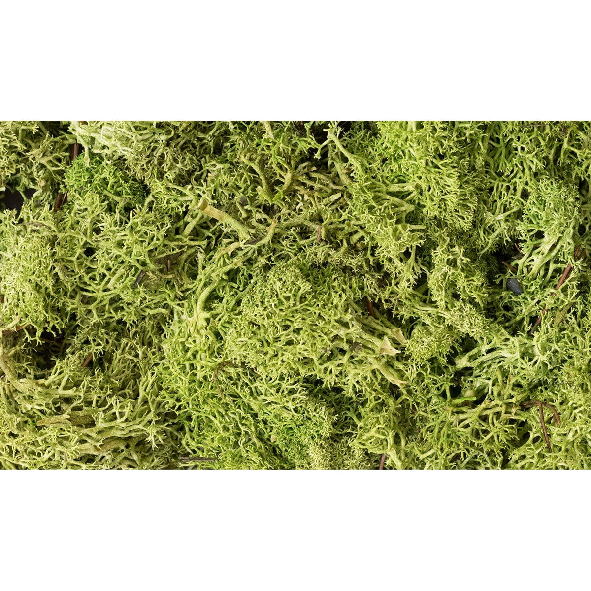 Woodland Scenics Woodland Scenics Lichen/Light Green