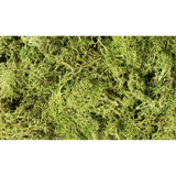 Woodland Scenics Woodland Scenics Lichen/Light Green