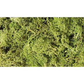 Woodland Scenics Woodland Scenics Lichen/Light Green