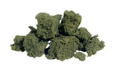 Woodland Scenics Woodland Scenics Light Green Foliage Cluster