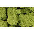 Woodland Scenics Woodland Scenics Light Green Foliage Cluster