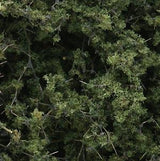 Woodland Scenics Woodland Scenics Medium Green Fine-Leaf Foliage F1131